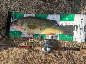 【お客様釣果】春バス∼50up∼