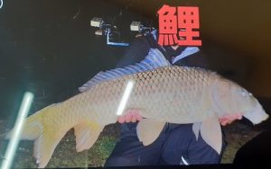 お客様釣果情報