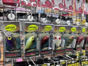 クラバー50入荷✨