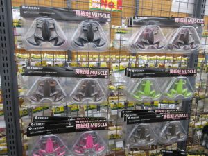 房総蛙マッスル入荷🐸