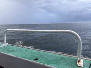 イカジギング行ってみた