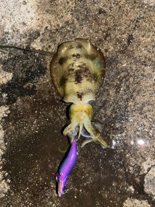 お客様釣果情報