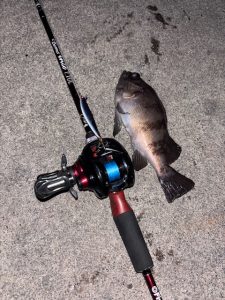やっと釣れたよぉ～↑↑