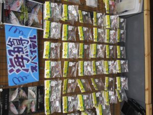 ～海鱒スパイラル入荷！～