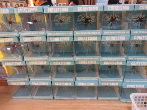 ☆★☆新品上乗せセール開始！！★☆★