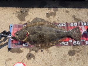 ★☆★涸沼川釣果情報！！★☆★