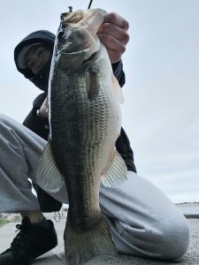 ★☆★霞水系釣果報告!!★☆★