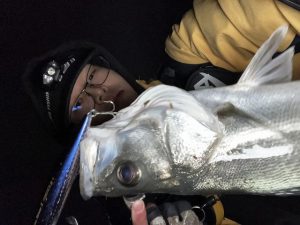 ★☆★涸沼川シーバス釣果報告☆★☆