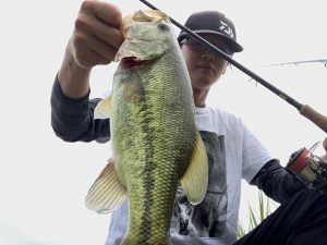 ★☆★霞水系バス釣果報告☆★☆