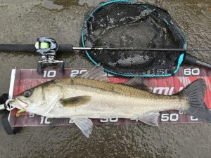 ★☆★涸沼水系釣果情報！！★☆★