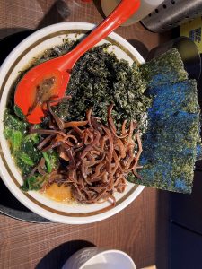 ★☆★涸沼水系シーバス釣果情報☆★☆