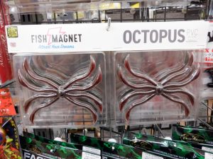 ☆～新品＆中古入荷情報～☆