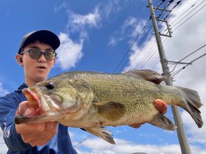 BiG Berry 栃木バイパス店 （BiG Berry Tochigi Bypass）