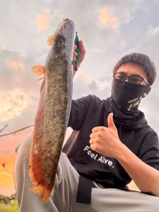 【鯰乱舞！】釣果情報🌞