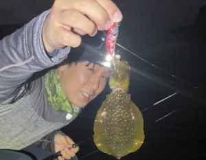 お買い得商品、続々増えてます！！！