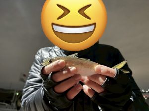 スタッフアジング釣行！