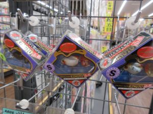 ∇金魚、コリガンマグナム入荷∇