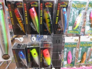∇レッドアイキング、カスミ入荷しました。∇