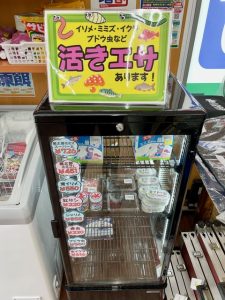 ☆渓流釣り用エサ各種入荷☆