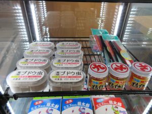 釣エサあります！！