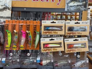 入荷情報
