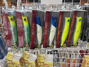 入荷情報