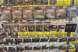 入荷情報❗