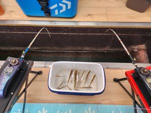 ⭐お客様釣果⭐