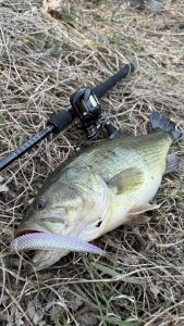 2026初バスGET🔥