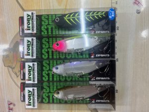 バス新製品入荷しました