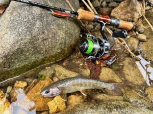渓流釣行🎣