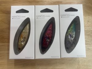 🐟入荷情報🐟