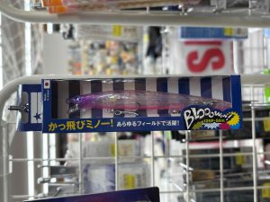 🌟入荷情報🌟