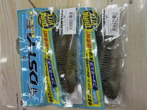 入荷情報🐟