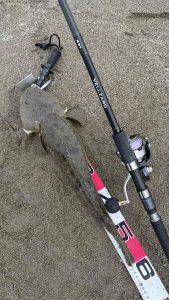 まだまだ好調⁉