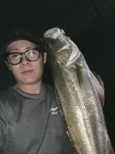 埼玉シーバス釣り🎣