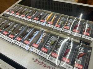 団子魚入荷致しました！！