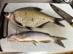 噂のｱｲﾂ…実際どうなん！？実食編