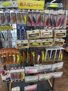 ソルト新入荷コーナー！