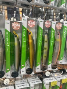 シーバス落ち鮎シーズン🎣