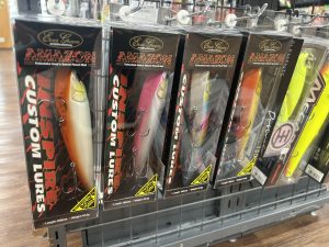 エバーグリーン アマゾン入荷致しました！