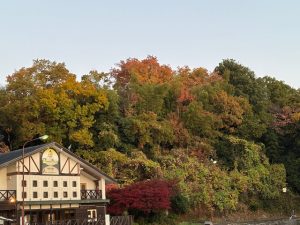 【ﾄﾗｷﾝ予選】ムカイカップに挑戦してきました🔥