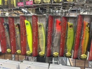 カゲロウMD156F 入荷致しました！！