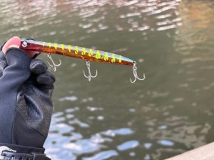 🪱🪱🪱ﾊﾞﾁ抜け調査🪱🪱🪱