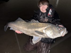 雨時々シーバス