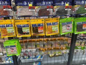 バグアンツ、グラスミノー入荷致しました！！