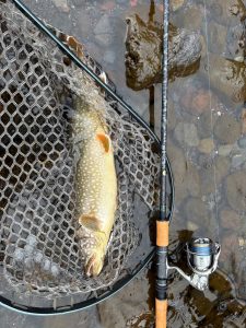 中禅寺湖の釣果報告いただきました！