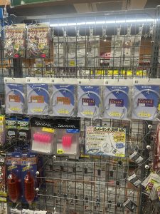8月から相模湾コマセマグロ解禁です！！！