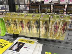 秋イカシーズン！！当店エギも豊富です！