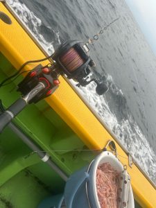 コマセマグロに行ってきました🎣